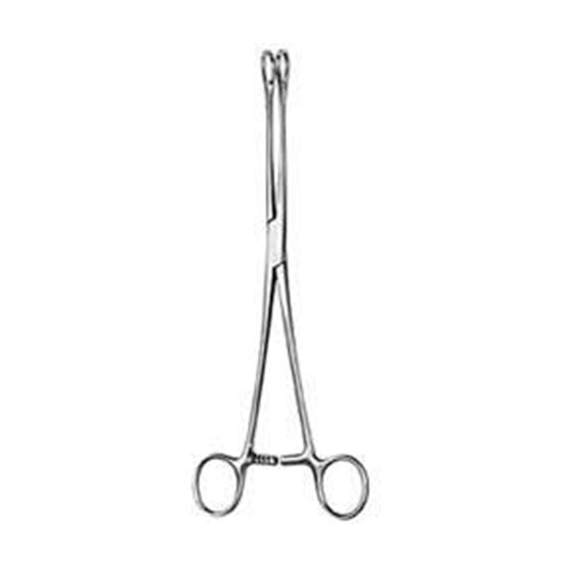 Sponge Forcep
